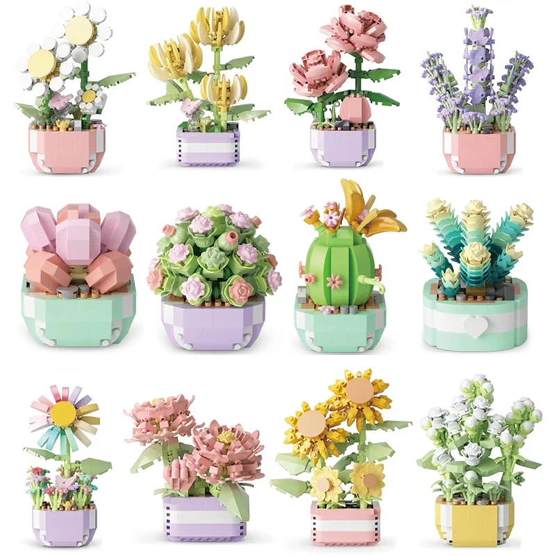 Bonsai Garden Kit - Çiçek Succulents yapı taşları sonsuz çiçek