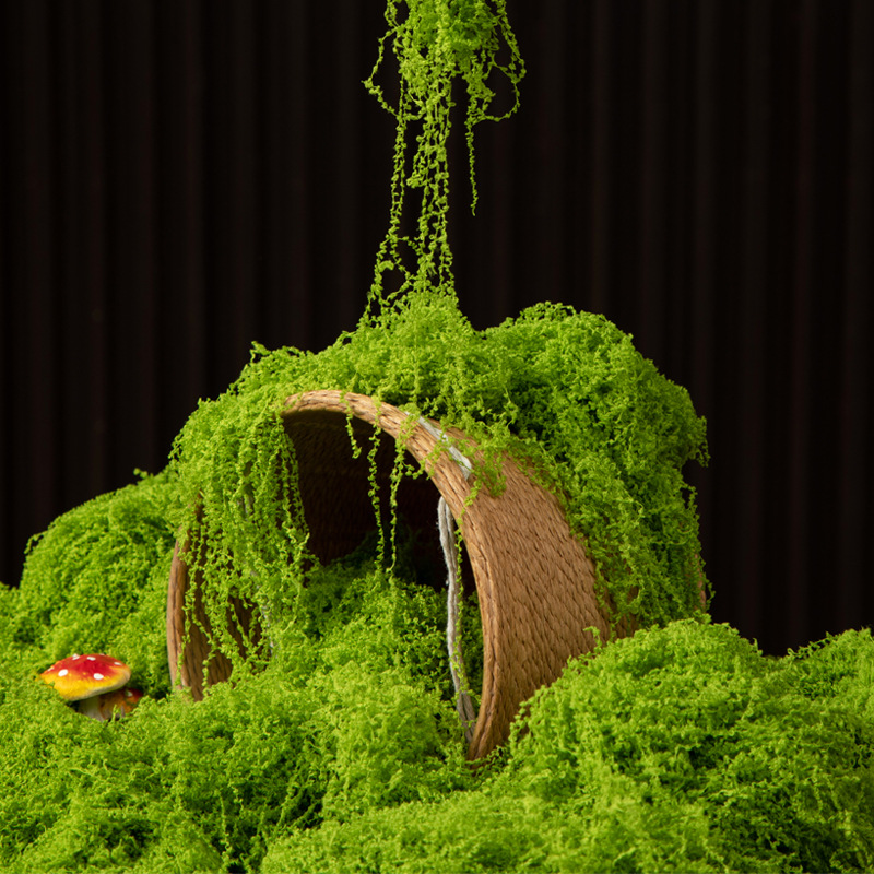 Bonsai Garden Ideas - 200g Ebedi Yaşam Yosun DIY El