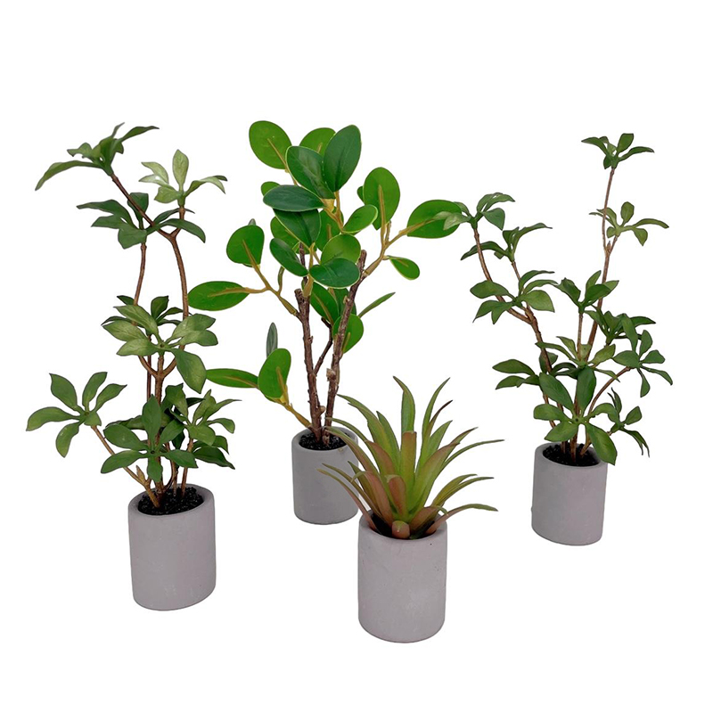 Bonsai Garden Kit - 1:6 Evcilik Minyatür Saksı Bitki Yeşil