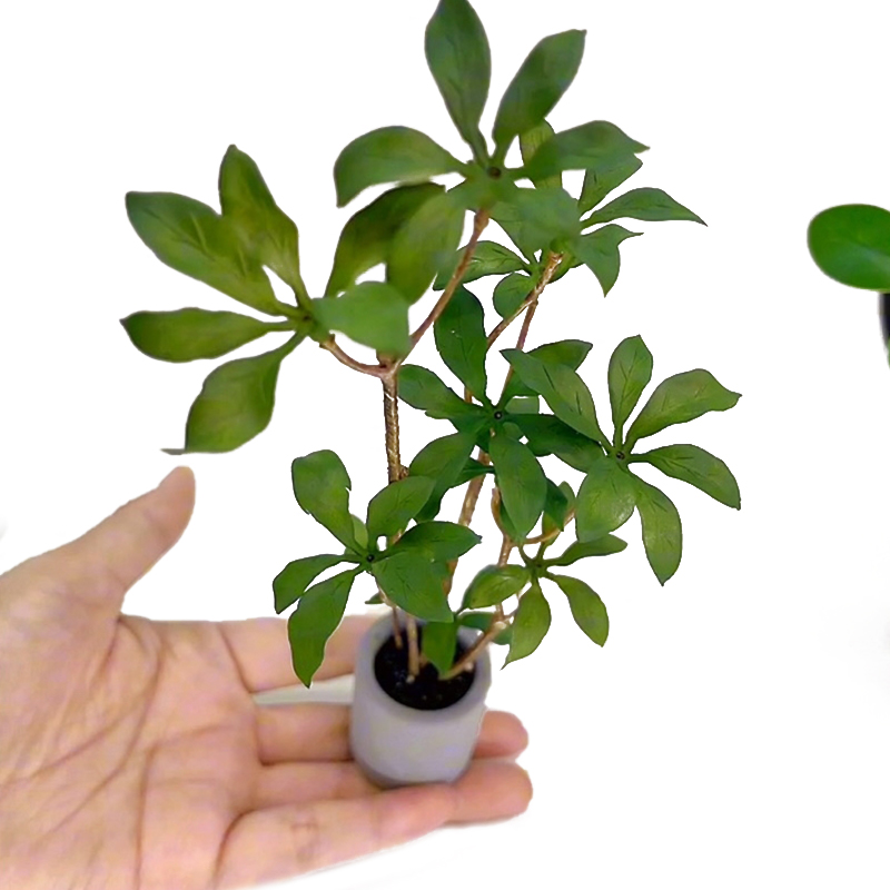 1:6 Dollhouse minyatür saksı b - Bonsai Garden Kit incelemesi ve fiyatı