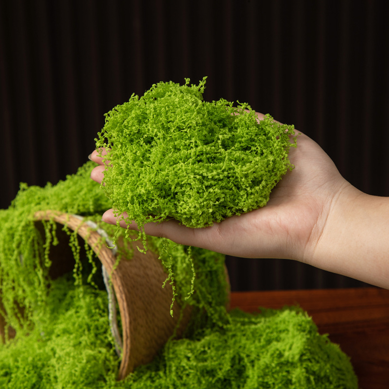 200g Ebedi Yaşam Yosun DIY El  - Bonsai Garden Ideas incelemesi ve fiyatı
