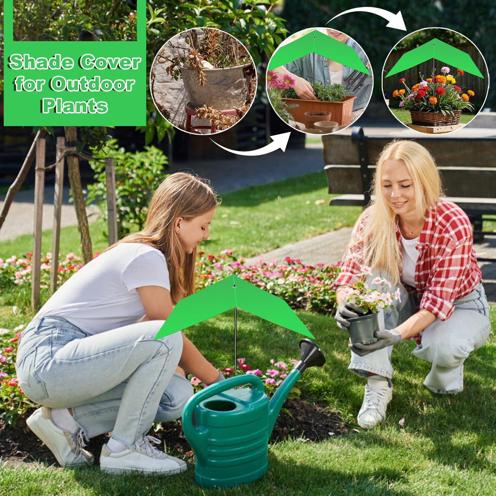 Bitki Şemsiyesi Anti-UV Isı Az - Bonsai Garden Backyard incelemesi ve fiyatı