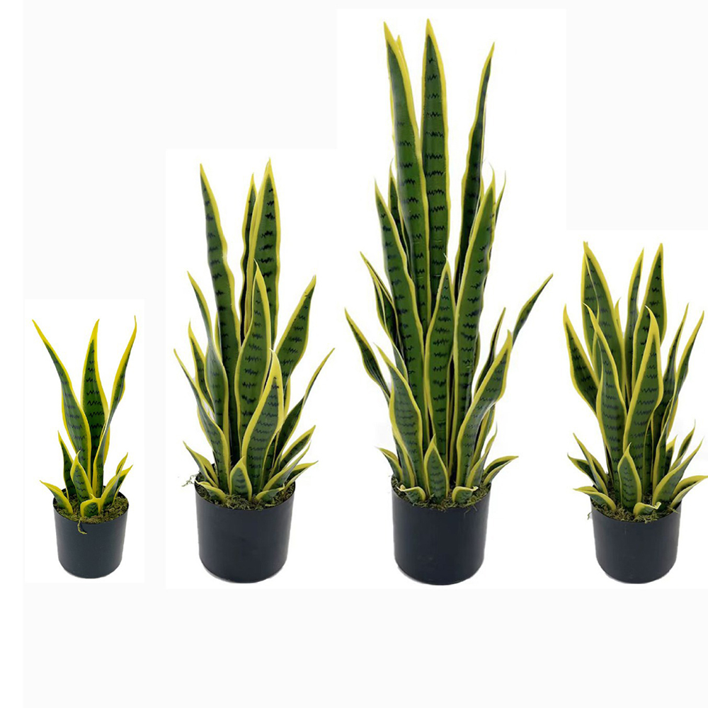 40-100cm Yapay Sansevieria Yıl - Bonsai Garden Kit incelemesi ve fiyatı