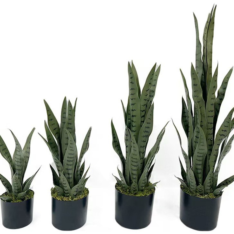 40-100cm Yapay Sansevieria Yıl - Bonsai Garden Kit incelemesi ve fiyatı