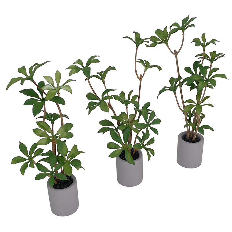 1:6 Evcilik Minyatür Saksı Bit - Bonsai Garden Kit incelemesi ve fiyatı