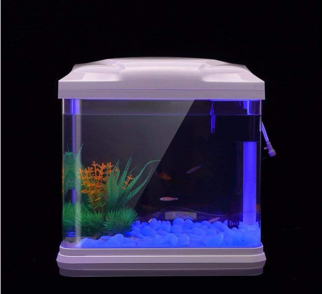 Balık Tankı Kayalar Bahçe için - Bonsai Garden Kit incelemesi ve fiyatı