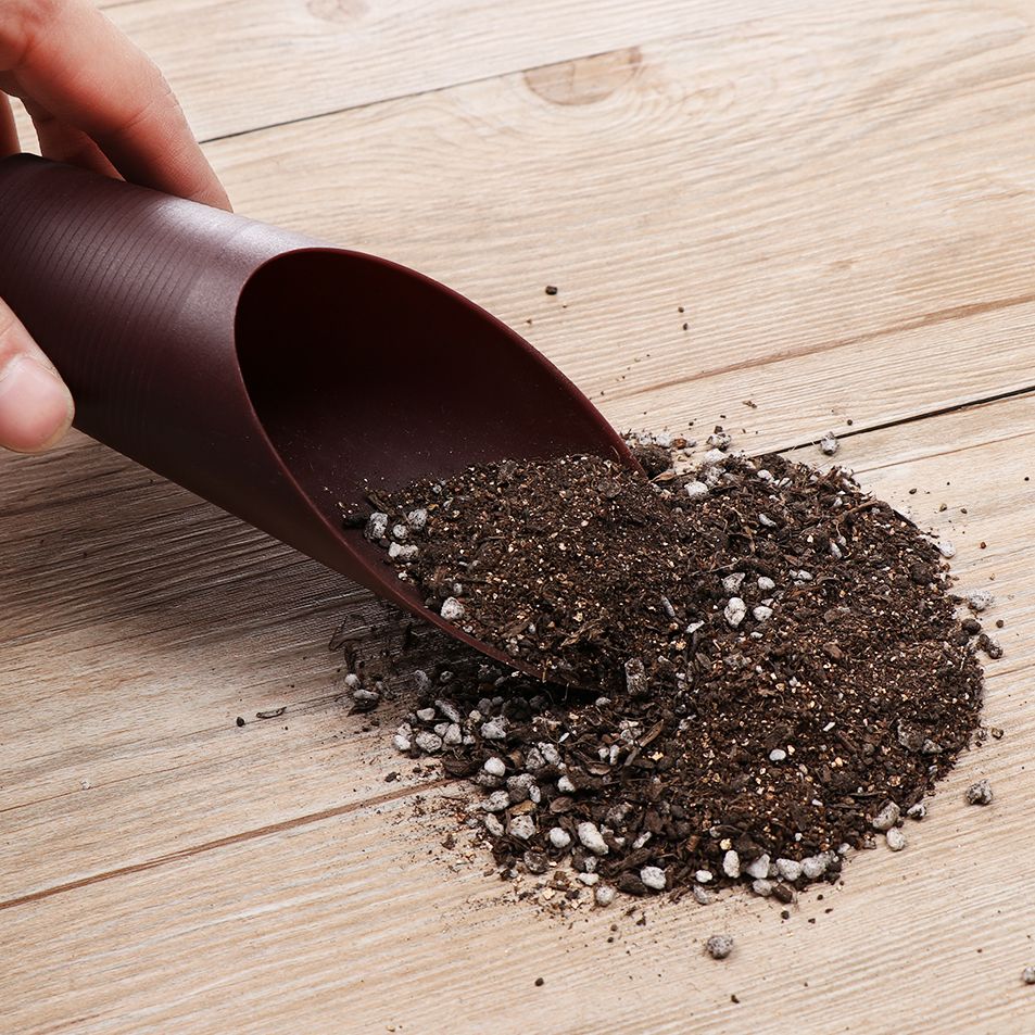 1 adet plastik toprak kürek ba - Bonsai Garden Kit incelemesi ve fiyatı